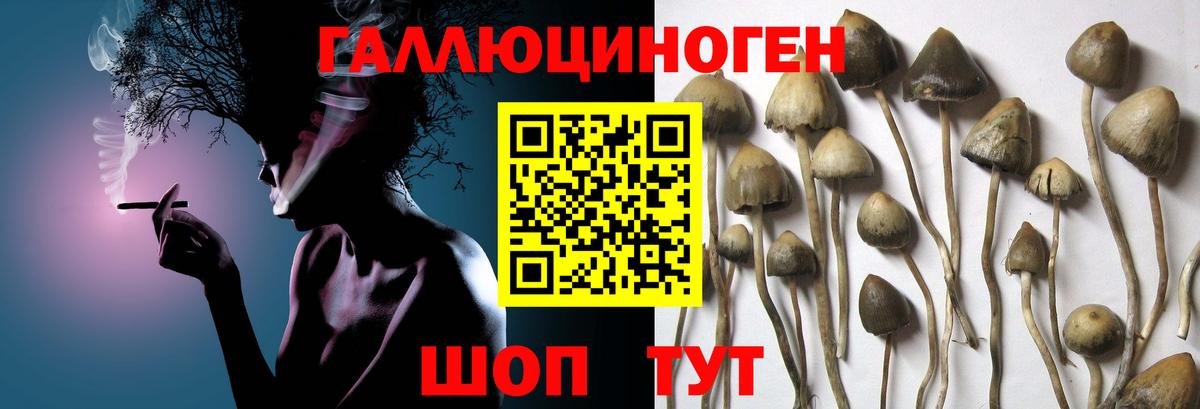 где продают   Вход с VPN  Коломна  Псилоцибиновые грибы прущие грибы 